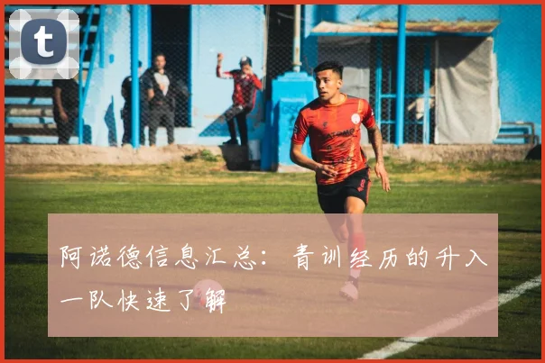 阿诺德信息汇总:青训经历的升入一队快速了解