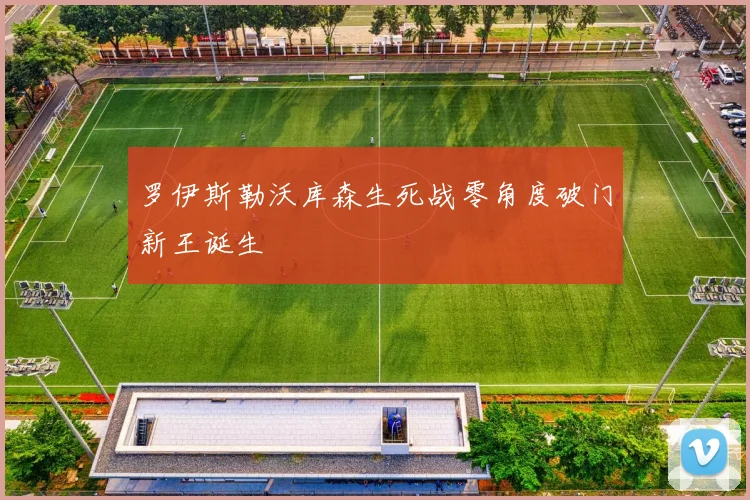 罗伊斯勒沃库森生死战零角度破门新王诞生