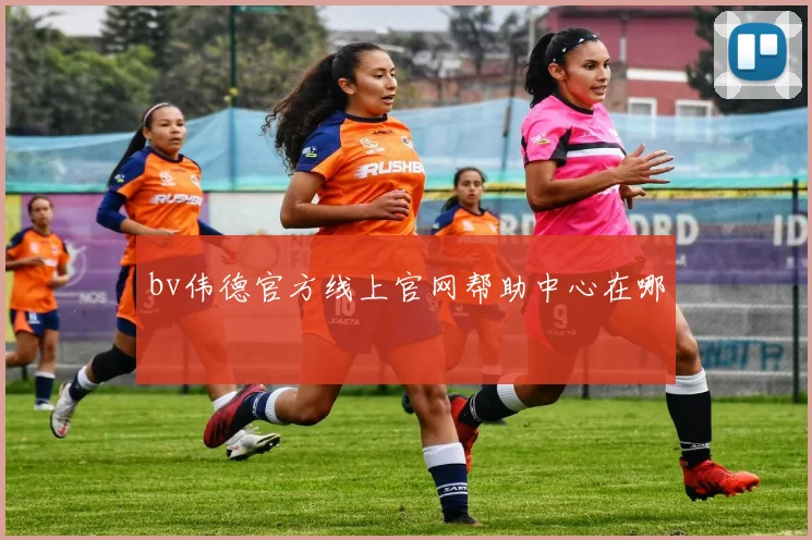 bv伟德官方线上官网帮助中心在哪