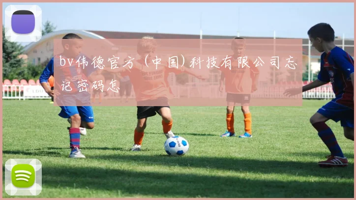 bv伟德官方 (中国)科技有限公司忘记密码怎