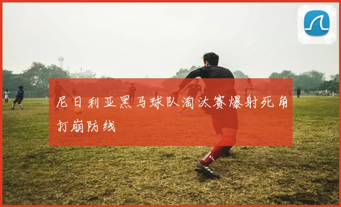 尼日利亚黑马球队淘汰赛爆射死角打崩防线