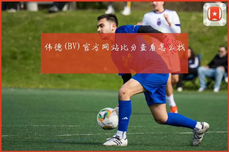 伟德(BV)官方网站比分查看怎么找