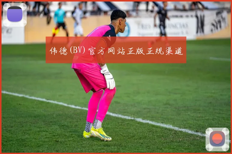 伟德(BV)官方网站正版正规渠道