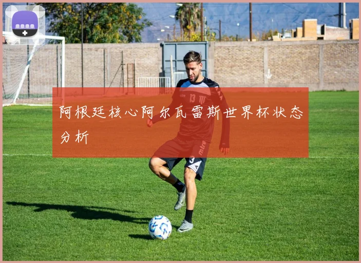 阿根廷核心阿尔瓦雷斯世界杯状态分析